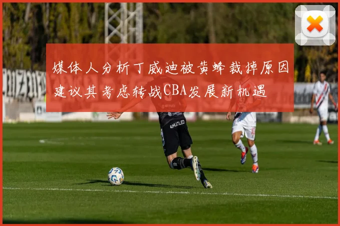 媒体人分析丁威迪被黄蜂裁掉原因建议其考虑转战CBA发展新机遇