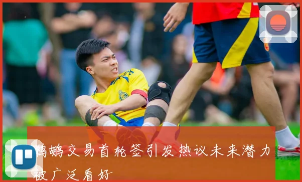 鹈鹕交易首轮签引发热议未来潜力被广泛看好