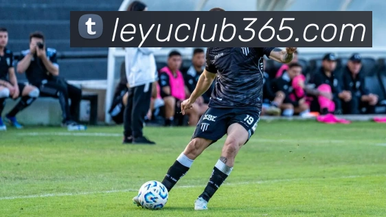 多媒体互动体验